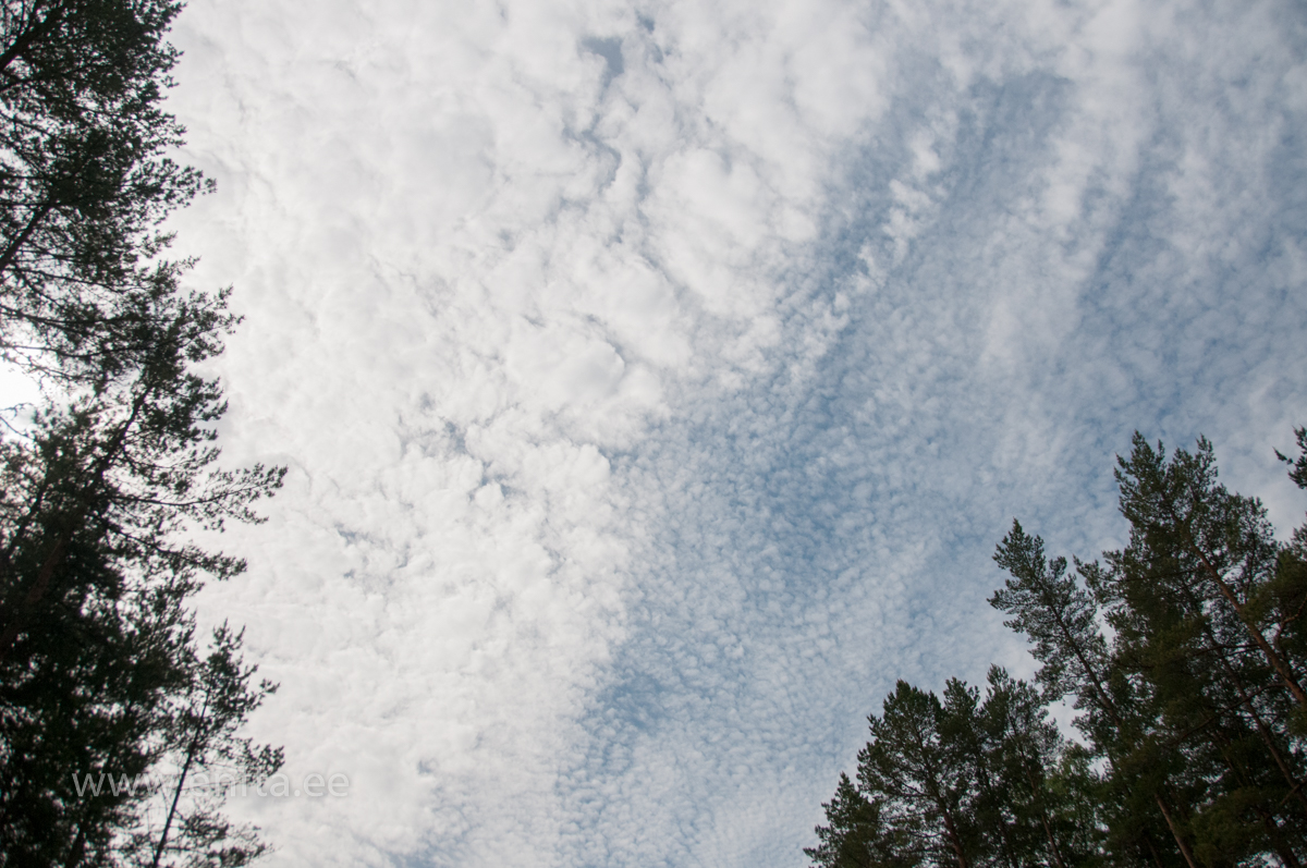 089 Ilm oli nagu  kingitud